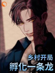 在线寻找的小说，乡村：开局孵化一条龙免费阅读