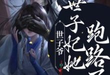 世子爷!世子妃她跑路了主角苏若婉洛临溪小说完结版章节在线阅读-侠客文学