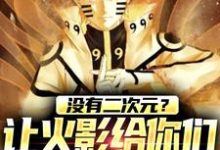 主角向阳小说没有二次元？让火影给你们一点震撼免费阅读-侠客文学