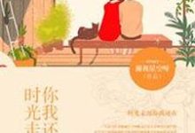 完结版《时光走远，你我还在》在线免费阅读-侠客文学