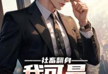 主人公叫陆远的小说社畜翻身：我可是顶级权贵在线阅读章节-侠客文学