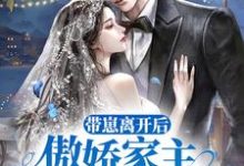 小说《带崽离开后,傲娇家主追妻火葬场》章节免费阅读-侠客文学