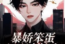 主角叫宁琥周堇白的小说在哪阅读-侠客文学