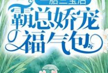 一胎三宝后,霸总娇宠福气包免费阅读,一胎三宝后,霸总娇宠福气包章节目录-侠客文学