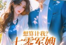 免费看想算计我？七零军嫂搬空你全家小说的网站有哪些？-侠客文学