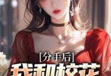 已完结小说《分手后,我和校花成了室友》章节在线阅读-侠客文学