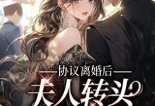 协议离婚后，夫人转头改嫁了章节免费在线阅读，沈落初傅景深完结版-侠客文学