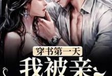 在线寻找穿书第一天，我被亲妹妹抢亲小说的无删减版本-侠客文学