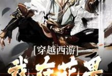 穿越西游，我在花果山开网吧苏辰，穿越西游，我在花果山开网吧小说免费阅读-侠客文学