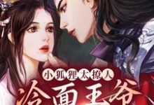 求小狐狸太撩人,冷面王爷笑着宠小说免费资源-侠客文学