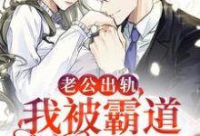 老公出轨，我被霸道总裁盯上了小说全文哪里可以免费看？-侠客文学