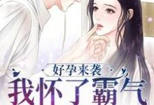 在线寻找陈晓莹顾城的小说，好孕来袭：我怀了霸气军官的崽子免费阅读-侠客文学