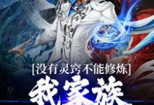 小说《没有灵窍不能修炼?我家族自有定论》在线章节阅读-侠客文学