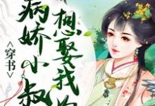 已完结小说《穿书:病娇小叔子想娶我为妻》在线章节阅读-侠客文学
