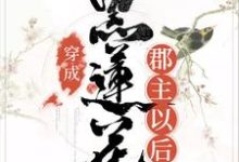 在线寻找穿成黑莲花郡主以后小说的无删减版本-侠客文学