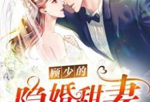 顾少的隐婚甜妻小说的无弹窗阅读体验，寻找免费阅读网站-侠客文学