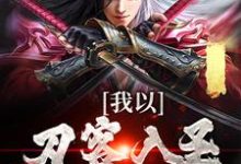 我以刀客入圣，镇压诸天！李长风小说完结版章节在线阅读-侠客文学