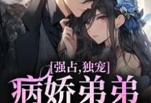 《强占,独宠!病娇弟弟嗜我如命》全集免费在线阅读(江衍黎漾)-侠客文学