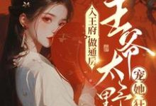 求推荐可以免费阅读入王府，做通房，王爷太野宠她狂小说的网站-侠客文学
