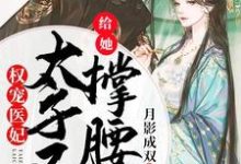 权宠医妃：太子又来给她撑腰啦这本小说怎么样？免费在线阅读试试-侠客文学