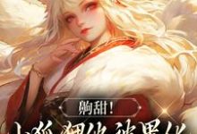 免费在线阅读齁甜!小狐狸他被黑化男主吃干抹净小说的正规网站有哪些?-侠客文学