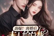 免费看劲爆，离婚后夫人给总裁挂男科了小说的网站有哪些？-侠客文学