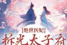 绝世医妃，拆光太子府嫁摄政王小说的免费阅读版本在哪里可以找到？-侠客文学