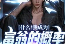 什么!我成为富翁的概率是百分之百叶默孙桐雪白桃叶斌小说在线章节免费阅读-侠客文学