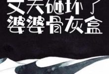 求推荐可以免费阅读为气我，丈夫砸坏了婆婆骨灰盒小说的网站-侠客文学