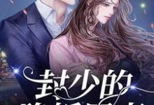 小说《封少的隐婚罪妻》在线章节阅读-侠客文学