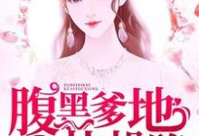 苏锦如沈延风夏莎齐森小说妈咪胖胖，腹黑爹地快投降在线阅读章节-侠客文学