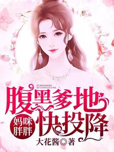 苏锦如沈延风夏莎齐森小说妈咪胖胖，腹黑爹地快投降在线阅读章节