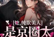 完结版《她，纯欲美人，是京圈太子童养媳》章节阅读-侠客文学