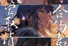 试管取消后离婚，合约妻子哭惨了小说完结版章节免费阅读-侠客文学