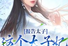 报告太子：这个太子妃好眼熟这本小说在哪里可以看？哪里有免费试读章节？-侠客文学