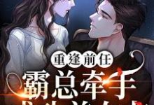 陆星辰厉臻小说《重逢前任：霸总牵手成功前女友》在线阅读-侠客文学