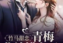 竹马甜恋：青梅，你认错人了！免费阅读，竹马甜恋：青梅，你认错人了！章节在线阅读-侠客文学