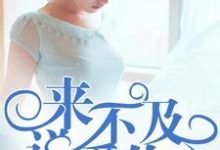 来不及说爱你洛晓晓肖然小说在线章节目录阅读最新章节-侠客文学