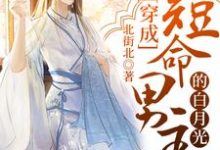 哪里可以免费找到穿成短命男主的白月光？-侠客文学