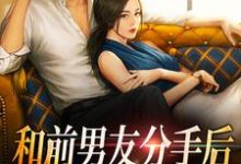 和前男友分手后，招惹上他弟弟小说有没有完结版在线？-侠客文学