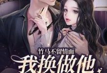 在线寻找竹马不留情面,我换做他小婶气疯他小说的无删减版本-侠客文学