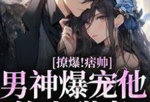 撩爆！痞帅男神爆宠他的小甜妻章节免费在线阅读，靳酌秦迎夏完结版-侠客文学