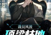 哪里能找到裁员风波:顶梁柱他创业成功了小说的全部章节?-侠客文学