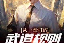 完结版《从一拳打碎武道规则开始无敌》免费阅读-侠客文学