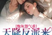 小说《炮灰怨气重！天降反派来惩戒男主了》在线章节阅读-侠客文学