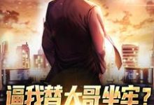 已完结小说《逼我替大哥坐牢？事后当我拖油瓶》章节免费阅读-侠客文学