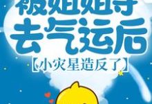 被姐姐夺去气运后,小灾星造反了小说最新更新在哪里?免费在线看-侠客文学