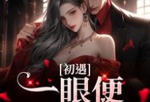 初遇：一眼便定下终生小说，初遇：一眼便定下终生章节在线阅读-侠客文学