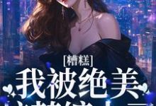 温暖容琛小说糟糕!我被绝美校花缠上了在线阅读章节-侠客文学