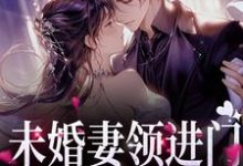 未婚妻领进门，第二天进医院许蓝因小说在线章节目录阅读最新章节-侠客文学